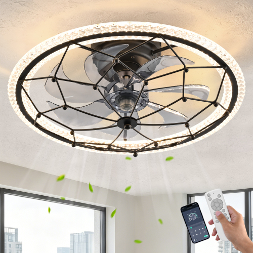 Caged Ceiling Fan with Lights Remote Control, 6 Speeds 3 Color Farmhouse Industrial Ceiling Fan with Light for Kitchen Bedroom Living Room - Matte Black - ABS+PC,Iron - American Traditional,Art Deco - Ceiling Fans - LED - 1000lm-5000lm - 3000K-6500K