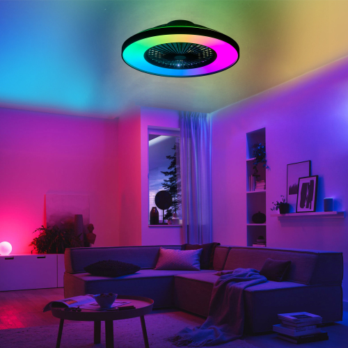 23" Bedroom Fan Light with Remote Control, Dimmable, 8 Blades, Reversible DC Motor, with LED Light - Black - ABS