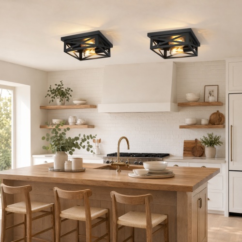 2-Pack Matte Black 2-Light Iron Square Flush Mount Ceiling Lights