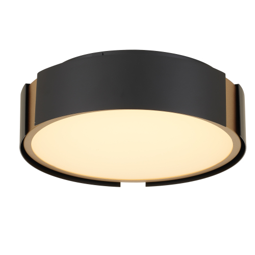 10-Inch Matte Black Steel LED Flush Mount Light with Brass Accent