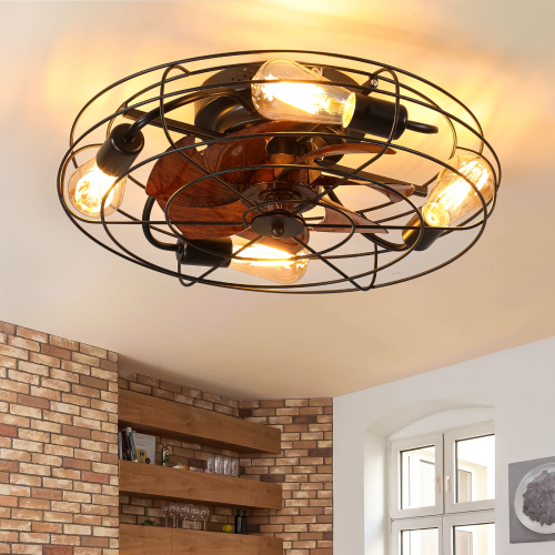 Black 20-Inch Caged Ceiling Fan with Light, Iron and ABS, Remote