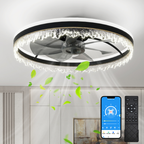 Black Iron 24-Inch LED Ceiling Fan with Light, Remote Control