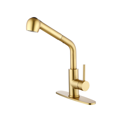 Gold Stainless Steel Single-Handle Pull-Out Utility Sink Faucet