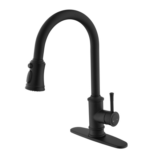 Matte Black Stainless Steel Kitchen Faucet with Pull-Out Sprayer