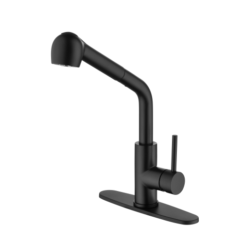 Matte Black Stainless Steel Kitchen Faucet with Pull-Down Sprayer