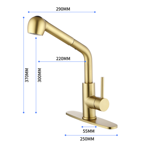 Gold Stainless Steel Single-Handle Pull-Out Dual-Spray Utility Faucet