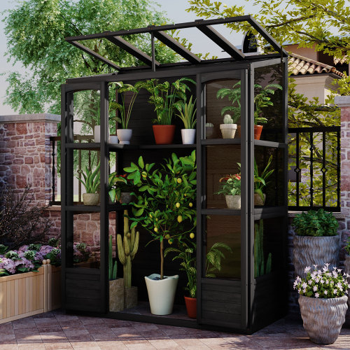 78-Inch Black Wood Walk-In Greenhouse with Skylights and Shelves