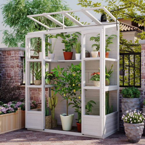 78-Inch White Wood Walk-In Greenhouse with Skylights and Shelves