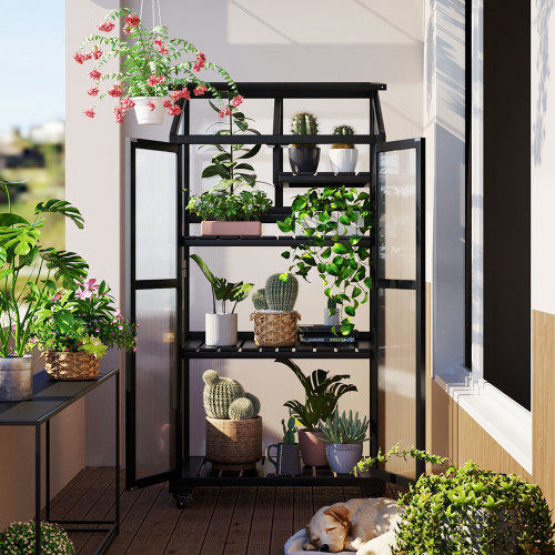 62-Inch Black Solid Wood Greenhouse with Adjustable Shelves