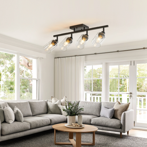 19.7-Inch Black Iron 4-Light Ceiling Fixture with Glass Shades