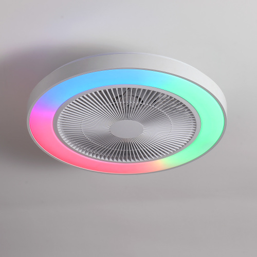 20-Inch 2-in-1 White Caged Ceiling Fan with RGB Light, ABS+PC