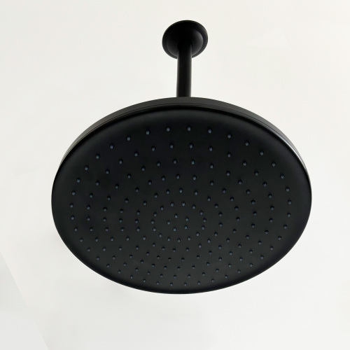 Matte Black High-Pressure Rain Shower Head in ABS and Stainless Steel