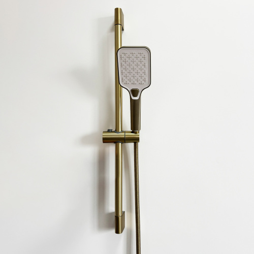 Brushed Gold ABS Handheld Shower Set with Slide Bar and Hose