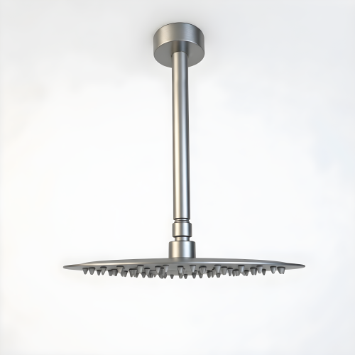 10-Inch Brushed Nickel High-Pressure Stainless Steel Rain Shower Head