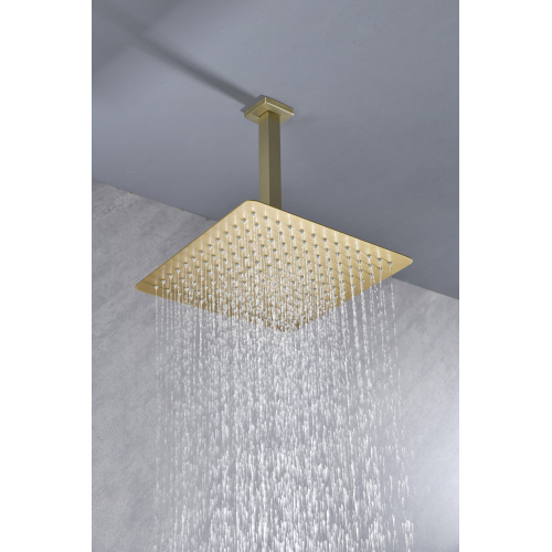 10-Inch High-Pressure Rain Shower Head, Brushed Gold Stainless Steel