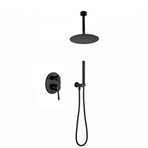 Matte Black 10-Inch Rain Shower System in Brass & Stainless Steel