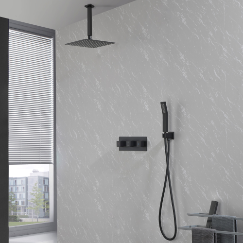 10-Inch Matte Black Brass & Stainless Steel Rain Shower System