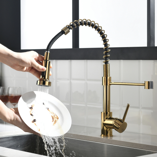 Contemporary Black and Gold Brass Kitchen Faucet with Pull-Down Sprayer - Black+Gold - brass - Ceramic - Contemporary - Kitchen - Ceramic - brass