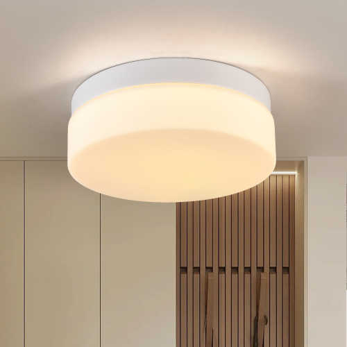 Modern 12-Inch White Iron 24W LED Flush Mount Ceiling Light Fixture