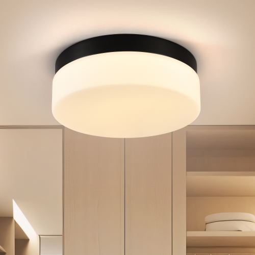 Modern 12-Inch 24W Black Iron LED Flush Mount Ceiling Light