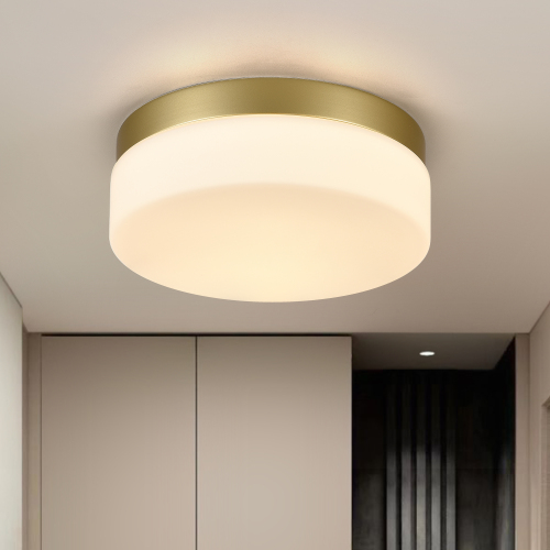 Modern 12-Inch Gold Iron 24W LED Flush Mount Ceiling Light