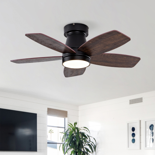 Ceiling Fans with Lights and Remote, 32 Inch Low Profile Ceiling Fan with Light, Flush Mount, Reversible, 3CCT, Dimmable Black Modern Ceiling Fan for Bedroom, Living Room, Outdoor Patio - Black + Dark Walnut - Solid Wood - 32-Inch