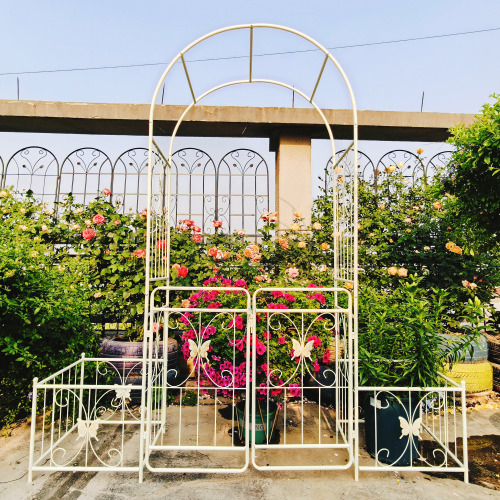 Metal Garden Arch with Gate 79.5'' Wide x 86.6'' High Climbing Plants Support Rose Arch Outdoor Cream White - Creamy White - Iron - French - Garden & Outdoor