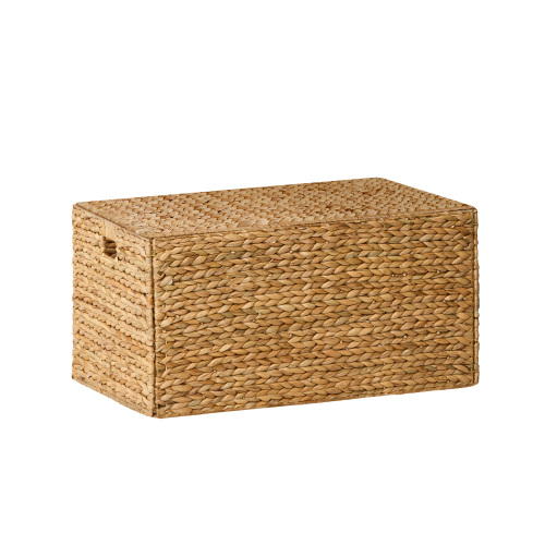 Ludmila Water Hyacinth Rectangular Storage Trunk - 26.8" x 16.1" x 14.2" - Natural Brown - Light Brown